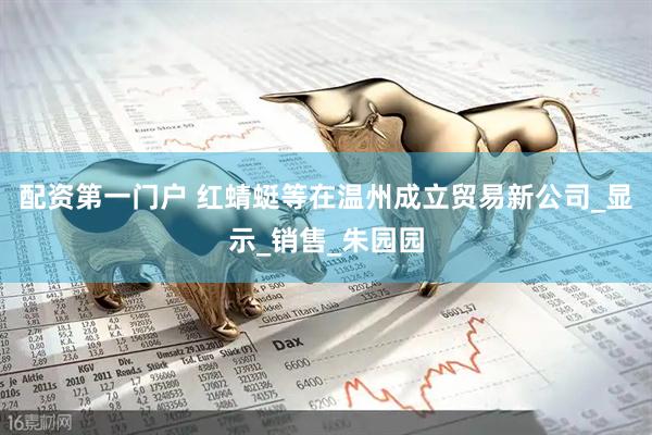配资第一门户 红蜻蜓等在温州成立贸易新公司_显示_销售_朱园园