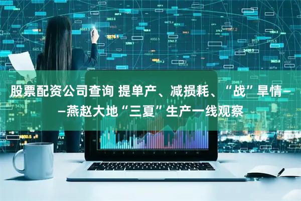 股票配资公司查询 提单产、减损耗、“战”旱情——燕赵大地“三夏”生产一线观察