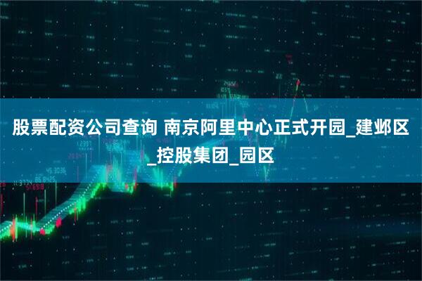 股票配资公司查询 南京阿里中心正式开园_建邺区_控股集团_园区