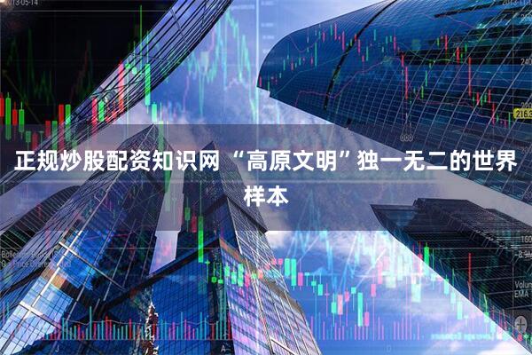正规炒股配资知识网 “高原文明”独一无二的世界样本
