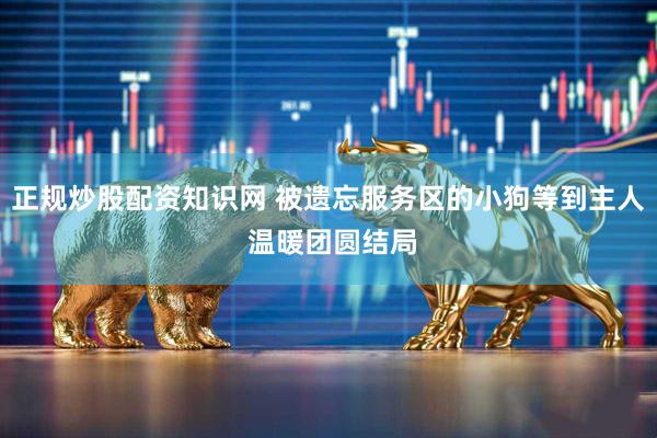 正规炒股配资知识网 被遗忘服务区的小狗等到主人 温暖团圆结局